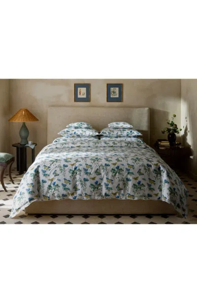 Matouk Baudin Butterfly 500 Thread Count Cotton Percale Sham In Prussian Blue