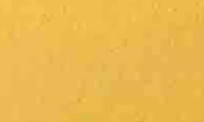 Kasper Women's Stretch-crepe Elastic-back Straight-leg Pants In Butterscotch