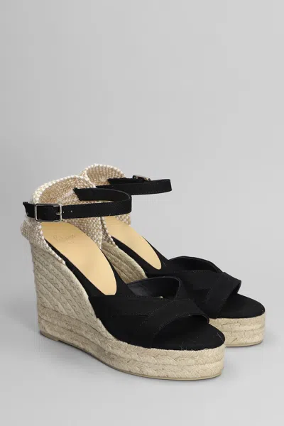 Castaã±er Castañer Bruna-6-001 Wedges In Black