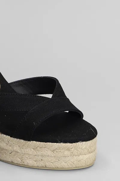 Castaã±er Castañer Bruna-6-001 Wedges In Black