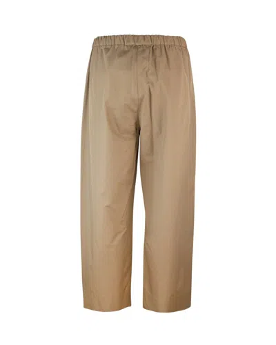 Shop 's Max Mara Pants In Brown