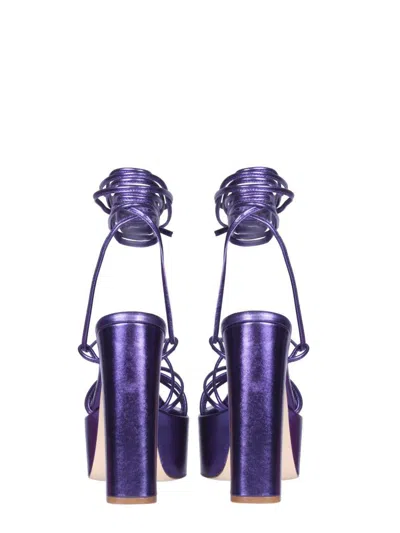 Paris Texas Malena Sandalwood In Purple