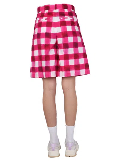 Msgm "check" Shorts In Purple