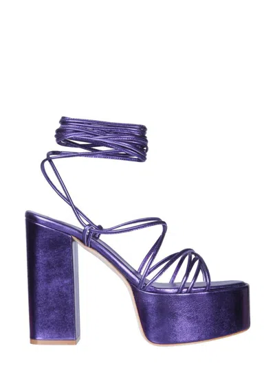 Paris Texas Malena Sandalwood In Purple