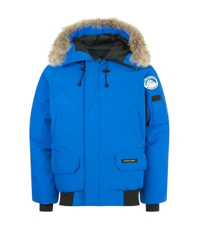 Shop Canada Goose Pbi Chilliwack Bomber Jacket