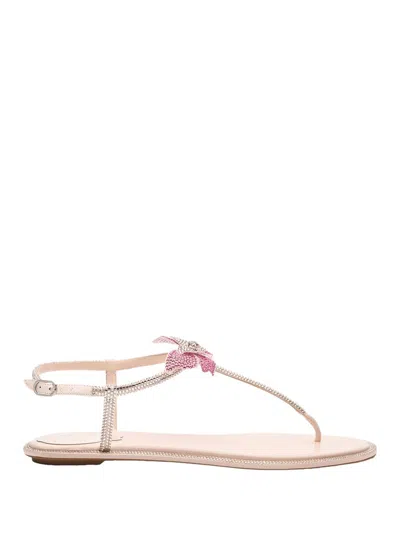 René Caovilla Rene Caovilla Fairy Pink Flat Sandal 10 In Multicolor