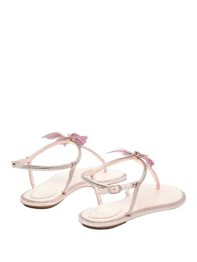 René Caovilla Rene Caovilla Fairy Pink Flat Sandal 10 In Multicolor