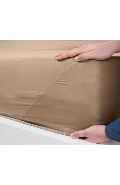 Martex Everyday 225 Thread Count Sheet Set In Khaki