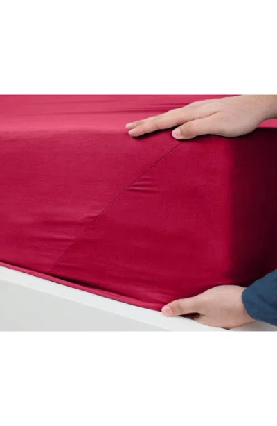 Martex 225 Thread Count Sheet Set In Paprika