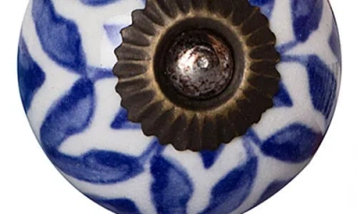 Kinetic 12-pack Knobs In Blue Willow Floral