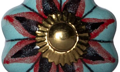 Kinetic 12-pack Knobs In Orange Aqua