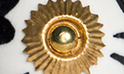 Kinetic 12-pack Knobs In Gold Black White