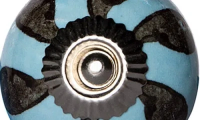 Kinetic 12-pack Knobs In Light Blue Petal