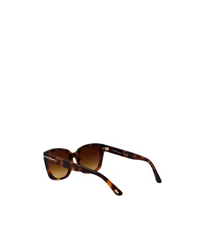 Tom Ford Haylay Sunglasses In 哈瓦那