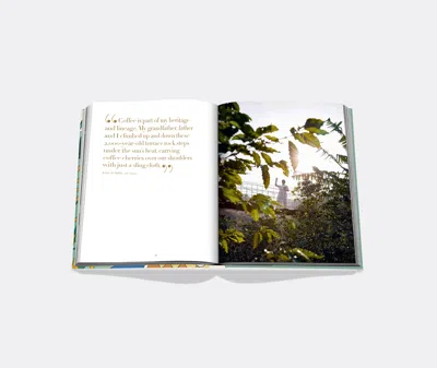 Assouline Coffee Table Books Multicolor Uni In Multicolor