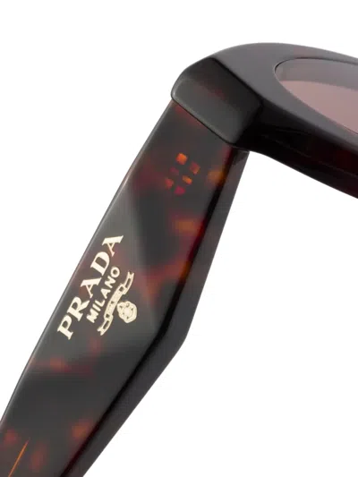 Prada Pr 26zs 17n60b 55mm Womens Oval Sunglasses In Brown