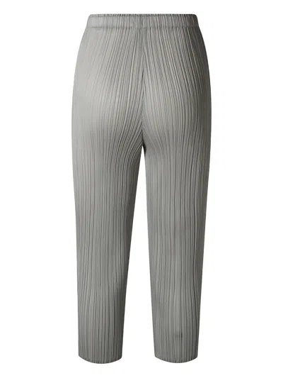 Issey Miyake Pleated Trousers In Grey