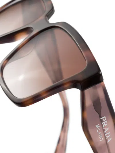 Prada Pr 24zs 07r0a6 56mm Womens Square Sunglasses In Brown