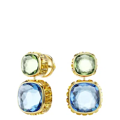 Swarovski Chroma Drop-ohrhänger