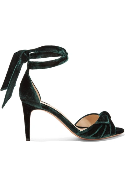 Shop Alexandre Birman Clarita Bow-embellished Velvet Sandals
