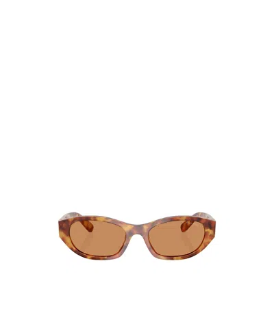 Miu Miu Womens Brown Mu A03s Oval-frame Acetate Sunglasses In Nude