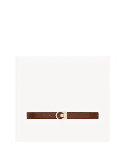 Saint Laurent Reversible Belt In Crocodile-embossed Leather In Brown