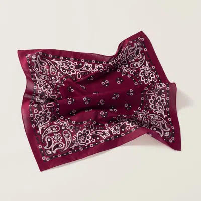 Miu Miu Printed Poplin Scarf In Amaranth Red/maize Yellow