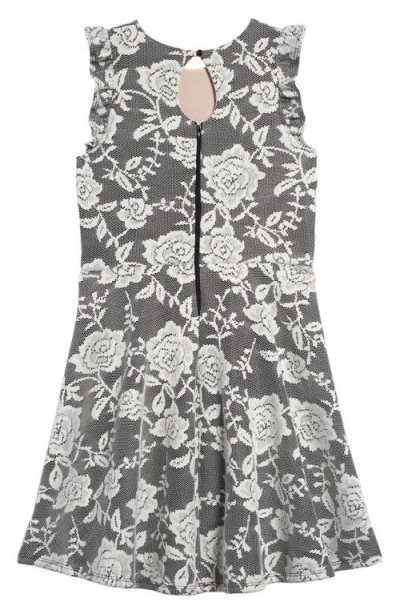 Ava & Yelly Bonded Lace Skater Dress In Black Ivory