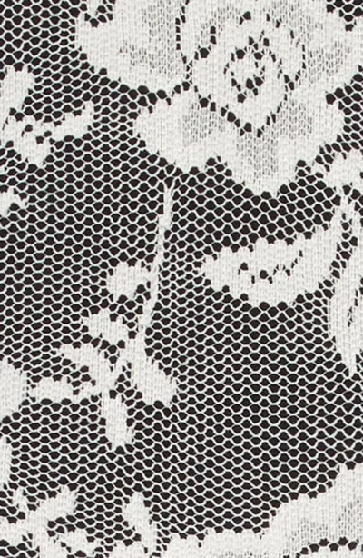 Ava & Yelly Bonded Lace Skater Dress In Black Ivory