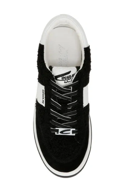 Circus Ny By Sam Edelman Vance Cozy Faux Shearling Sneaker In Black