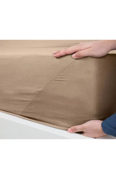 Martex Everyday 225 Thread Count Sheet Set In Khaki
