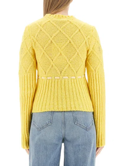Cormio Oma 5 Embroidered Wool Blend Sweater In Yellow
