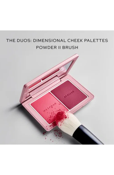 Westman Atelier Powder Brush Ii In No Color