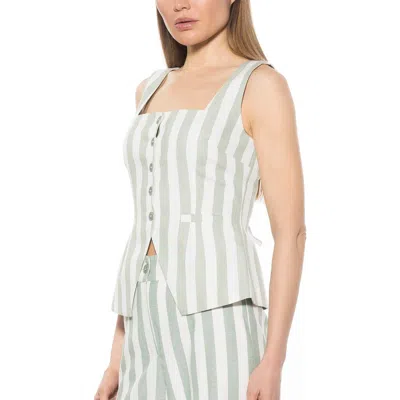 Alexia Admor Adeline Square Neck Vest In Green Stripe