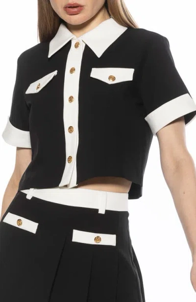 Alexia Admor Emery Collared Button-up Shirt In Black