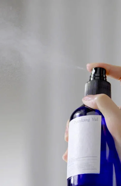 Pyunkang Yul Mist Toner