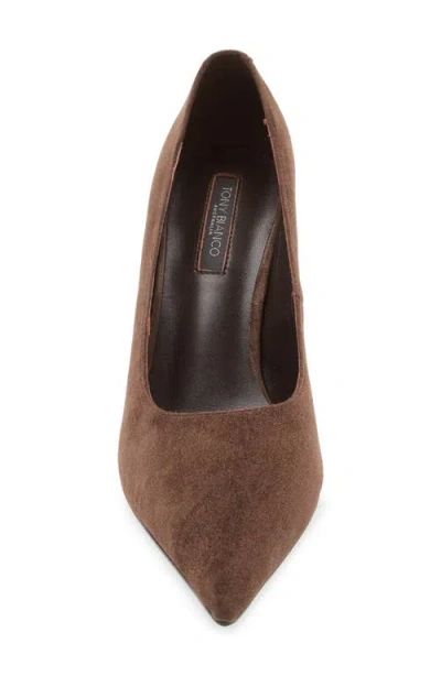 Tony Bianco Imogen Pointed Toe Pump In Espresso Suede