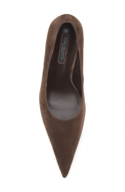 Tony Bianco Imogen Pointed Toe Pump In Espresso Suede