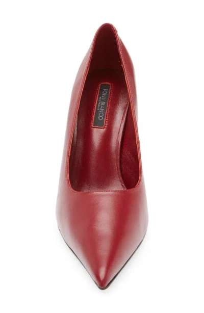 Tony Bianco Imogen Pointed Toe Pump In Berry Venice