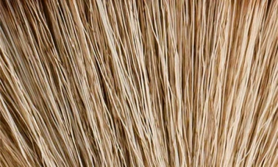 Victoria Beckham 14 Fan Make-up Brush Collection In No Color