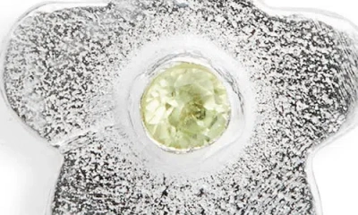 Shana Cave Small Flower Stud Earrings In Periodt