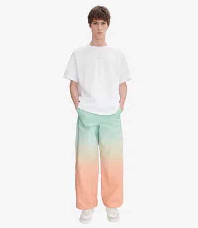 Apc Pants A. P.c. Men Color Multicolor In Saa - Multicolored