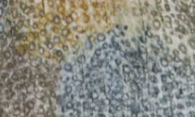 Apny Mixed Media Peasant Top In Gray