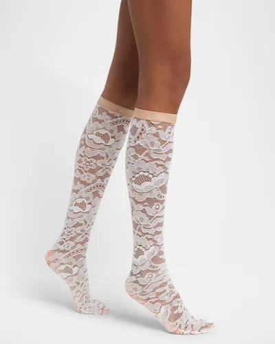 Valentino Rebrode Lace Knee-high Socks In Neutral