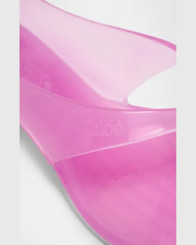 Chloé Chloe Women Fluo Pink Tpu Chloe Jelly Thong Sandals In Pink Fizz