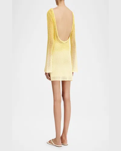 Significant Other Honey Long-sleeve Net Mini Dress In Lemon Crush