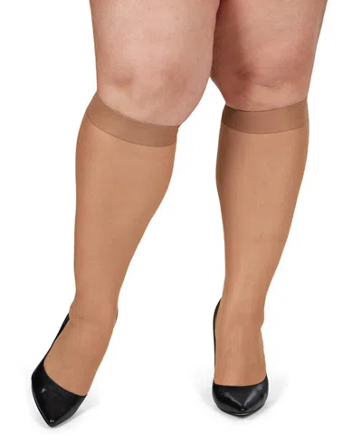 Memoi 6-pack Silky Sheer Curvy Knee High Socks In Honey