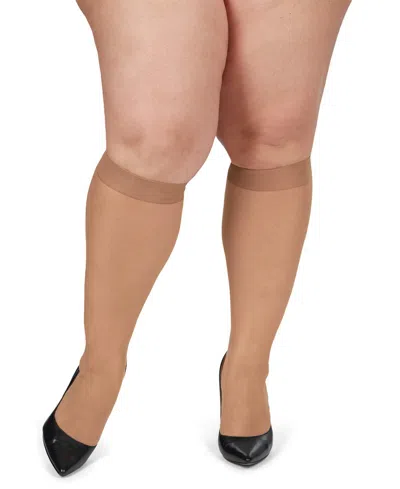 Memoi 6-pack Silky Sheer Curvy Knee High Socks In Honey