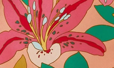 Amanda Uprichard Janerico Maxi Dress In Botanico In Multi