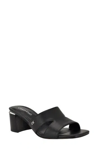 Calvin Klein Valery Block Heel Slide Sandal In Black